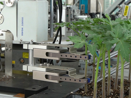 ȫԄ(dng)紲䲥NC(j)ѨP봲C(j)